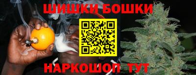 ешки Кингисепп