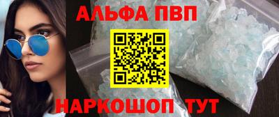 ешки Кингисепп