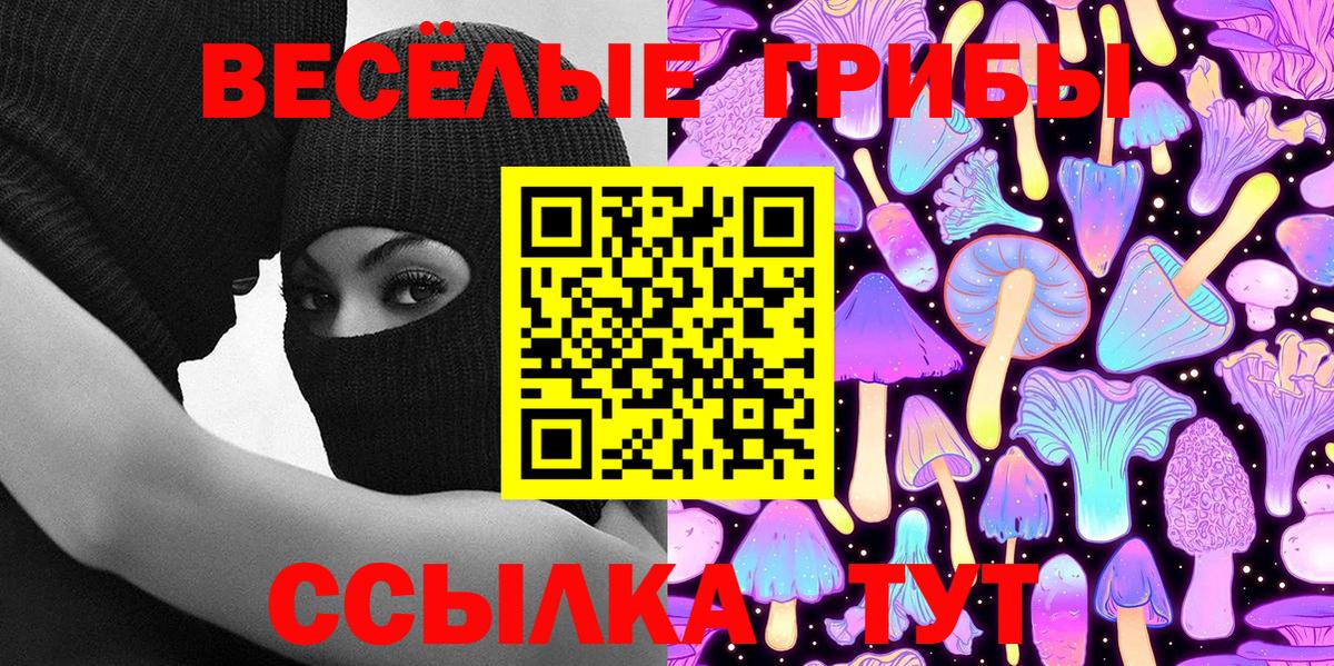 Краснокаменск  где продают   Вход с VPN  Галлюциногенные грибы Cubensis 